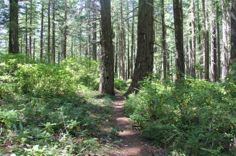 Hanging Rock Trail Is An Easy Hike In Oregon That Takes You To An Unforgettable View