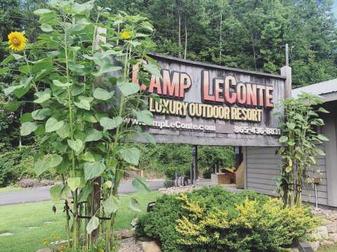 You Can Stay In A Vintage Camper Trailer When You Visit The Camp LeConte Luxury Outdoor Resort In Tennessee