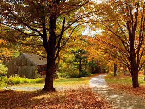 A Visit To Moore State Park In Autumn Is An Other-Worldly Massachusetts Experience