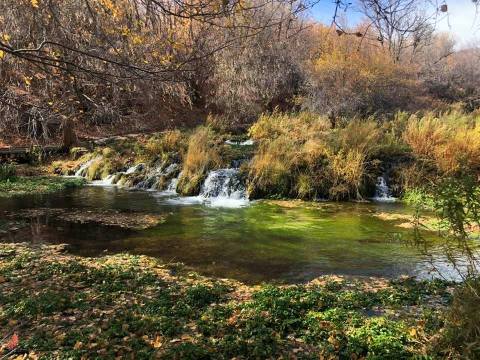 The Boardwalk Hike At Cascade Springs In Utah Winds Through An Oasis Of Little Waterfalls And Bridges