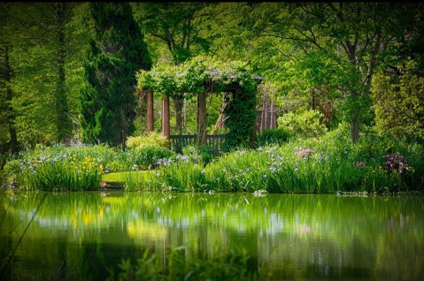 Moore Farms Botanical Garden Is A Fascinating Spot in South Carolina That's Straight Out Of A Fairy Tale