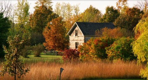 Linnaeus Arboretum Is A Fascinating Spot in Minnesota That's Straight Out Of A Fairy Tale