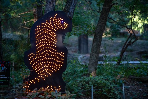 Drive Through A Magical Winter Wonderland At Zoo Lights In Pittsburgh This Winter