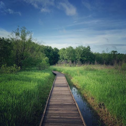 This Missouri Park Has Endless Boardwalks And You'll Want To Explore Them All