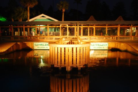 Take A Wild Nighttime Adventure Into A Marsh Full Of Gators During Gatorland's Night Shine Tour In Florida