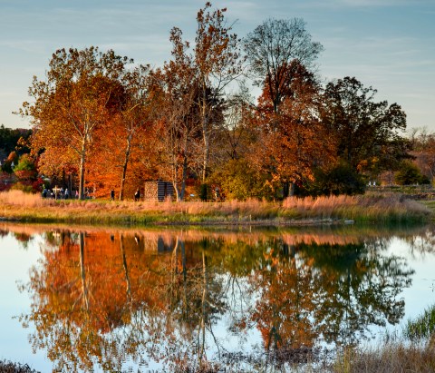 The Beautiful Chicago Botanic Gardens In Illinois Are Open And Stunning Year Round