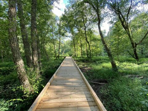 Hike Along A New Boardwalk Added To The Scenic Hematite Lake Trail In Kentucky