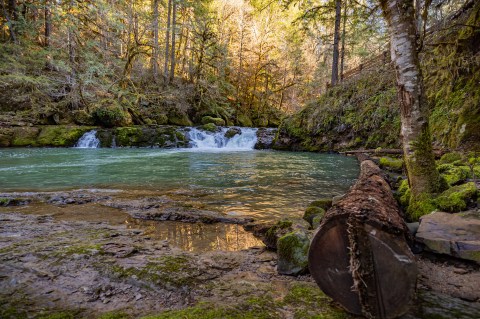 You'll Want To Spend The Entire Day At The Gorgeous Natural Pool On The Edge Of Oregon’s Umpqua National Forest