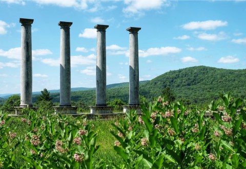 Ashintully Gardens Is A Fascinating Spot in Massachusetts That's Straight Out Of A Fairy Tale