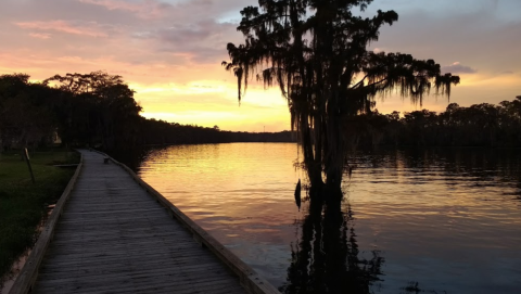 With Stunning Views And A Historic Mansion, Fairview-Riverside State Park Is A Hidden Gem In Louisiana