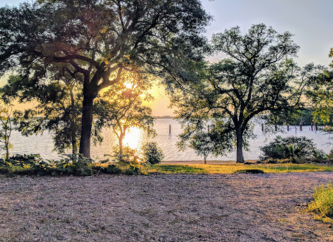 Not Many Know The Fascinating Story Behind Lake Peigneur In Louisiana