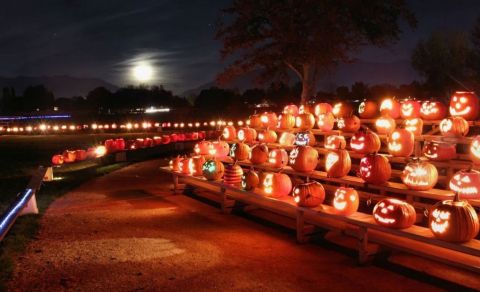 The Syracuse Pumpkin Walk In Utah Is A Classic Fall Tradition