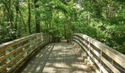 The 150 Acres At The Acadiana Park Nature Station Will Bring Out The Explorer In You