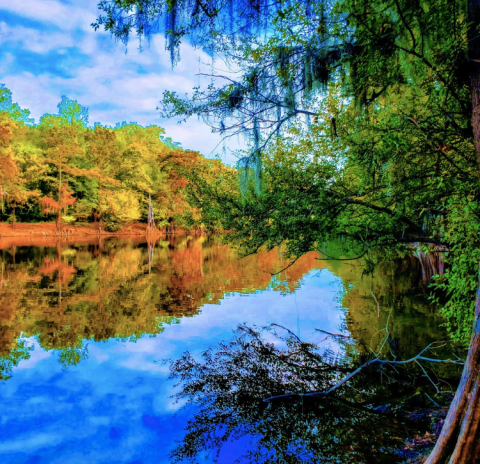 Explore The Raw Beauty Of The Bodcau Wildlife Management Area In Louisiana