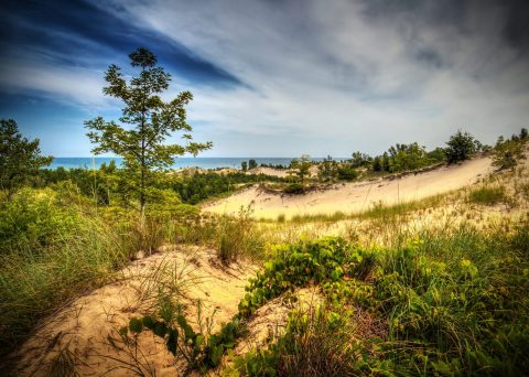 Get Out Of Town With A Trip To Indiana Dunes State Park