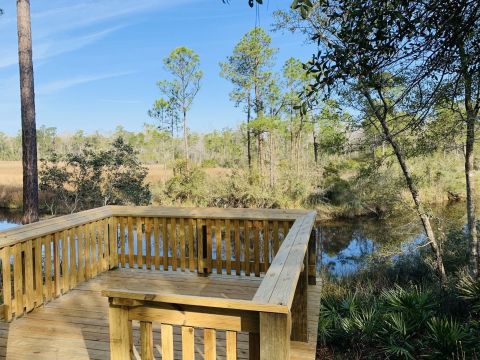 The Fontainebleau Nature Trail Might Be One Of The Most Beautiful Short-And-Sweet Hikes To Take In Mississippi