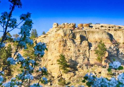 The Rock Formations In Billings, Montana Are A Geological Wonder