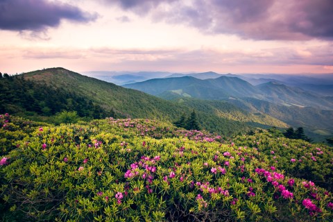 This Day Trip To Roan Mountain State Park Is One Of The Best You Can Take In Tennessee