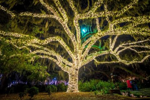 Brookgreen Gardens' Beloved Nights Of A Thousand Candles Will Be Returning To South Carolina