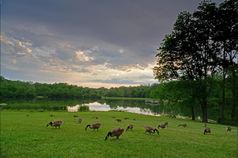 Explore The Pristine Geist Reservoir When You Visit This Underrated Indiana State Park