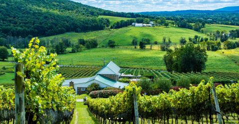 Enjoy A Seasonal Drink At Hillsborough Vineyards & Brewery In Loudoun County, Virginia