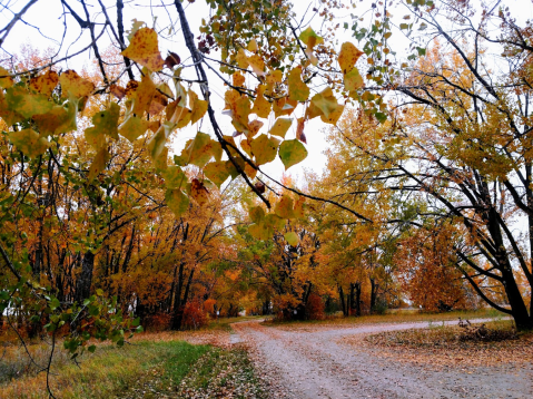 Enjoy The Peace And Quiet Of The Upper Souris Wildlife Refuge In North Dakota