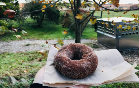 This Cider And Donut Mill In Rhode Island Will Put You In The Mood For Fall