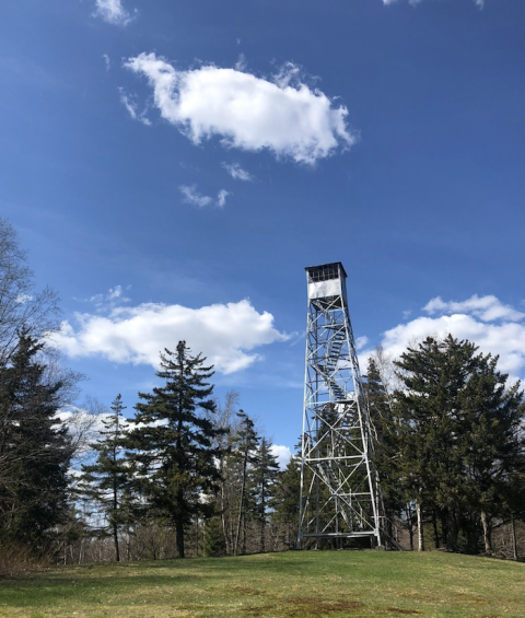 Allis State Park In Vermont Is So Well-Hidden, It Feels Like One Of The State's Best Kept Secrets