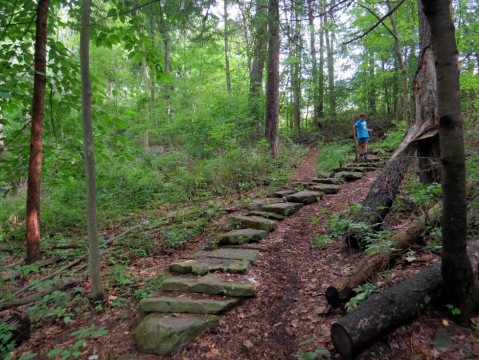 The Hidden Park In Michigan, Orchard Lake Nature Sanctuary, Is An Outdoor Lover’s Paradise