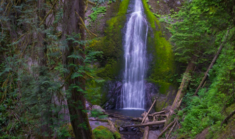 Marymere Falls Trail Is A 1.7-Mile Hike In Washington That Leads You To A Pristine Waterfall