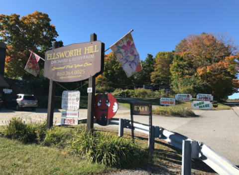 Weave Through An Intricate Corn Maze At Ellsworth Hill Orchard In Connecticut