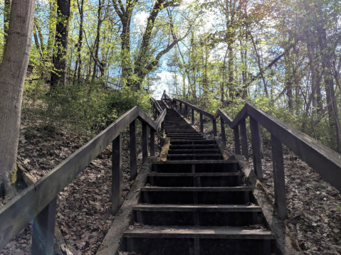 Hike This Stairway To Nowhere Near Detroit For A Magical Woodland Adventure