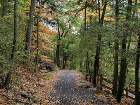 A Short But Beautiful Hike, The Enders State Forest Trail Leads To A Little-Known Waterfall In Connecticut