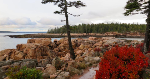 The Ship Harbor Nature Trail In Maine Said To Be Haunted By The Ghosts Of Those Who Perished Here