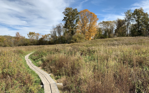 A 490-Acre Natural Area In Connecticut, Macricostas Preserve Is Heaven For Nature Lovers