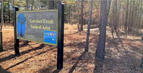 Take The Boardwalk Through Lorance Creek Natural Area For A Gorgeous Arkansas Adventure