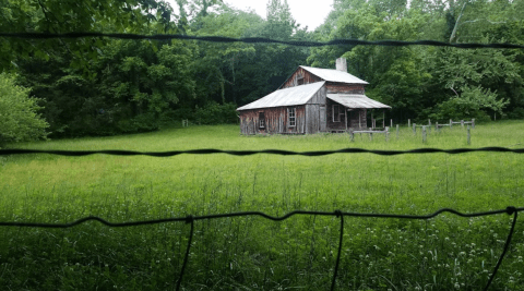 The Spooky Arkansas Hike That Will Lead You Somewhere Deserted