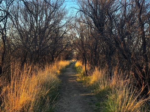 Hike Through A Ghost Town Cemetery On Fairbank Loop In Arizona