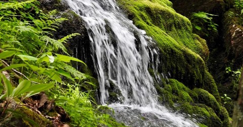 See The Tallest Waterfall In New Jersey, Buttermilk Falls