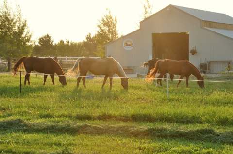 Get A Taste Of The Simple Life With A Stay At The B&B Horse Motel At Sweet Pepper Ranch In Idaho