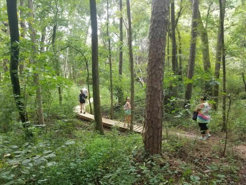 The 1.8-Mile Purser-Hulsey Trail In North Carolina Takes You Through An Enchanted Forest