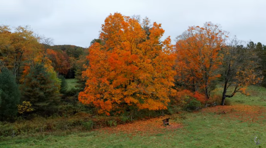 West Virginia banner image