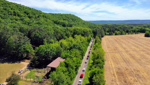 See Zebras And Llamas Up Close At Harmony Park Safari, A Drive-Thru Adventure In Alabama