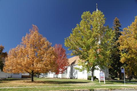 Visit More Than 60 Historic Landmarks When You Explore The Kit Carson Trail In Nevada