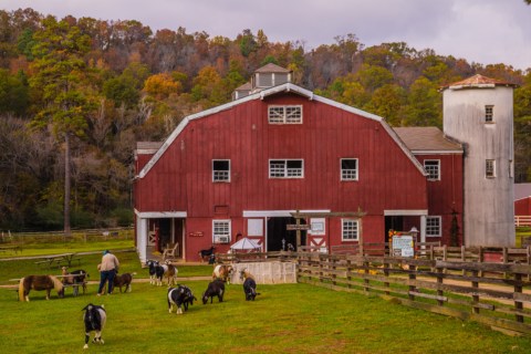 Visit Oak Mountain State Park, Alabama's Largest State Park, For An Unforgettable Fall Day Trip