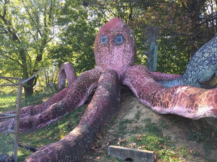 Octopus at Dinosaur Land