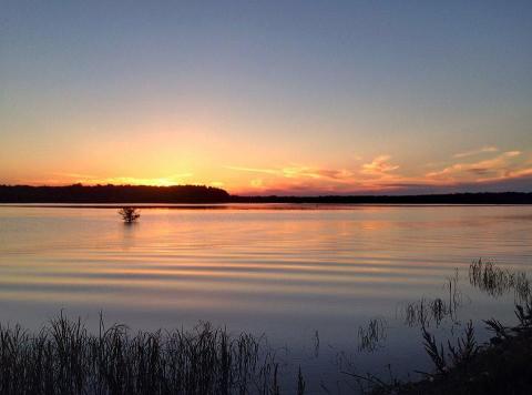 Sam D. Hamilton Noxubee National Wildlife Refuge In Mississippi Is So Well-Hidden, It Feels Like One Of The State's Best Kept Secrets