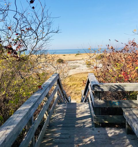 Take An Easy Loop Trail Past Some Of The Prettiest Scenery In Massachusetts On The John Wing Trail