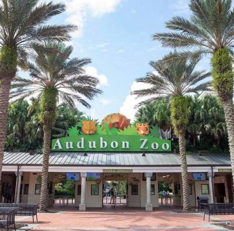 The Audubon Zoo Has Been Voted One Of The Best Zoos In The U.S.