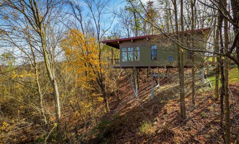 There's A Treehouse Village In West Virginia Where You Can Spend The Night